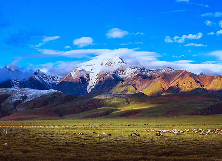 һ��һ��Ҫȥһ�εĵط�����������