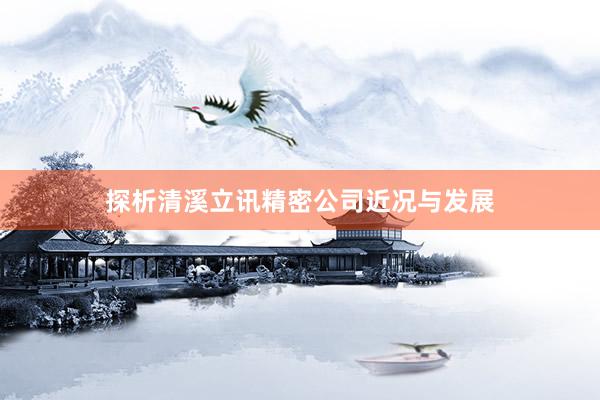 探析清溪立讯精密公司近况与发展